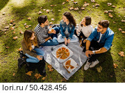 Friends at the park making a picnic. Стоковое фото, агентство Ingram Publishing / Фотобанк Лори