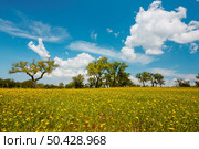 Beautiful landscape view of Portugal - Alentejo. Стоковое фото, агентство Ingram Publishing / Фотобанк Лори