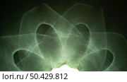 abstract green bright lights prism effect. Стоковое фото, агентство Ingram Publishing / Фотобанк Лори