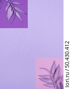 flat lay monochromatic leaves with copy space 3. Стоковое фото, агентство Ingram Publishing / Фотобанк Лори
