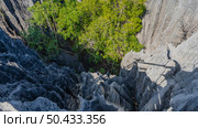 View from the height of the mountains to the gorge. In the foreground are the furrowed slopes of steep karst cliffs. There are thickets of green trees below. Light and shadows. Madagascar. Tsingy. Стоковое фото, фотограф Вера Ивановна Кубарева / Фотобанк Лори