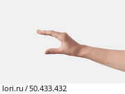 Invisible item measuring female hand hand wide open gesturing, sign isolated on white background, Set of different positions.. Set of measuring hands on white. Стоковое фото, агентство Ingram Publishing / Фотобанк Лори
