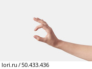 Female hand Invisible item measuring gesturing middle girth, sign isolated on white background, Set of different positions.. Set of measuring hands on white. Стоковое фото, агентство Ingram Publishing / Фотобанк Лори