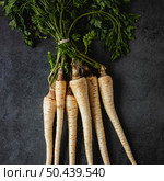 top view arrangement parsley roots. Стоковое фото, агентство Ingram Publishing / Фотобанк Лори