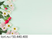 bunch carnations daisies. Стоковое фото, агентство Ingram Publishing / Фотобанк Лори