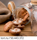 close up mushrooms jar. Стоковое фото, агентство Ingram Publishing / Фотобанк Лори