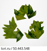 eco friendly recycling concept 7. Стоковое фото, агентство Ingram Publishing / Фотобанк Лори