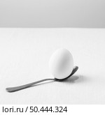 high angle white egg teaspoon. Стоковое фото, агентство Ingram Publishing / Фотобанк Лори