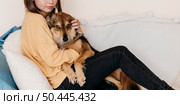 woman petting adorable dog 8. Стоковое фото, агентство Ingram Publishing / Фотобанк Лори