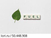Fuel word formed of scrabble tiles with green tree leaf on white background. Nature and renewable energy concept.. Fuel formed of scrabble tiles with tree leaf. Стоковое фото, агентство Ingram Publishing / Фотобанк Лори