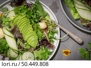 Fresh summer salad with cucumber, melon, avocado and fresh oregano served on ceramic plates. Стоковое фото, агентство Ingram Publishing / Фотобанк Лори