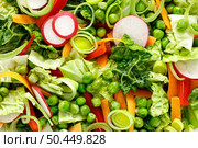 Fresh vegetarian green salad background with savoy cabbage, raw carrot, radish, bell pepper, leek and green peas. Стоковое фото, агентство Ingram Publishing / Фотобанк Лори