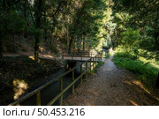 View of the pedestrian path along the Caima River weir in Palmaz, Oliveira de Azemeis, Portugal. Стоковое фото, агентство Ingram Publishing / Фотобанк Лори
