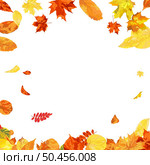 Autumn  Frame With Blowing Leaves  Over White Background. Elegant Design. Vector Illustration. Стоковая иллюстрация, агентство Ingram Publishing / Фотобанк Лори