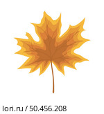 Autumn maple leaf. Leaf fall. Vector illustration. Стоковая иллюстрация, агентство Ingram Publishing / Фотобанк Лори