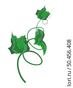 Pumpkin stem sprout cartoon isolated vector illustration on white background. Pumpkin sprout. Realistic pumpkin sprout illustration. Стоковая иллюстрация, агентство Ingram Publishing / Фотобанк Лори