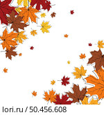 Autumn frame with blowing maple leaves over white Background. Elegant maple fall sketch doodle design. Vector Illustration. Стоковая иллюстрация, агентство Ingram Publishing / Фотобанк Лори