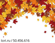 Autumn frame with blowing maple leaves over white Background. Elegant maple fall sketch doodle design. Vector Illustration. Стоковая иллюстрация, агентство Ingram Publishing / Фотобанк Лори