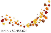 Autumn frame with blowing maple leaves over white Background. Elegant maple fall sketch doodle design. Vector Illustration. Стоковая иллюстрация, агентство Ingram Publishing / Фотобанк Лори