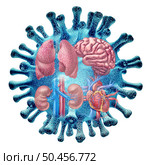 Virus Organ Infection and long Covid syndrome or coronavirus pandemic symptoms that persist as a hauler of a viral infections  on the lungs heart kidneys and the brain with 3D illustration elements. Стоковое фото, агентство Ingram Publishing / Фотобанк Лори