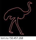 Neon ostrich red color vector illustration image flat style light. Neon ostrich red color vector illustration image flat style. Стоковая иллюстрация, агентство Ingram Publishing / Фотобанк Лори