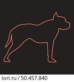 Neon pit bull terrier red color vector illustration image flat style light. Neon pit bull terrier red color vector illustration image flat style. Стоковая иллюстрация, агентство Ingram Publishing / Фотобанк Лори