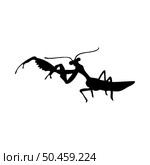 Silhouette of mantis. Mantis close-up detailed. Vector mantis icon on white background. Стоковая иллюстрация, агентство Ingram Publishing / Фотобанк Лори