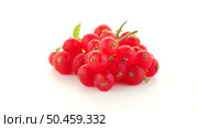 Red Currants close up on white background. Стоковое фото, агентство Ingram Publishing / Фотобанк Лори