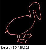 Neon pelican bird Seabird Waterbird red color vector illustration image flat style light. Neon pelican bird Seabird Waterbird red color vector illustration image flat style. Стоковая иллюстрация, агентство Ingram Publishing / Фотобанк Лори