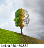 Cognitive decline and memory loss or  Dementia as an Alzheimer’s disease or cognitive impairment due to brain deterioration and Neurodegeneration as a mental health symbol as a Neurological disorder with 3D illustration elements. Стоковое фото, агентство Ingram Publishing / Фотобанк Лори