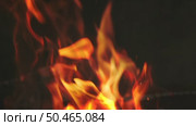Burning fire flame closeup in fireplace. Стоковое видео, видеограф Михаил Коханчиков / Фотобанк Лори