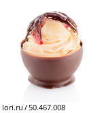 Tasteful strawberry and chocolate pastry mousse isolated on white background. Стоковое фото, агентство Ingram Publishing / Фотобанк Лори