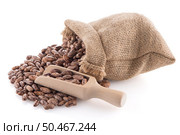 Pinto beans bag with wooden scoop on white background. Стоковое фото, агентство Ingram Publishing / Фотобанк Лори