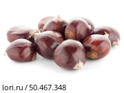 Chestnuts with shell isolated on white background. Стоковое фото, агентство Ingram Publishing / Фотобанк Лори