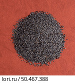 Top view of poppy seeds against red vinyl background. Стоковое фото, агентство Ingram Publishing / Фотобанк Лори