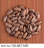 Top view of circle of pinto beans against red vinyl background. Стоковое фото, агентство Ingram Publishing / Фотобанк Лори