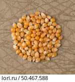 Top view of circle of corn against green vinyl background. Стоковое фото, агентство Ingram Publishing / Фотобанк Лори