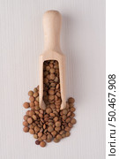 Top view of wooden scoop with  against white vinyl background. Стоковое фото, агентство Ingram Publishing / Фотобанк Лори