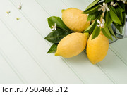Limes over light green wooden table. Стоковое фото, агентство Ingram Publishing / Фотобанк Лори