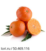 Fresh tangerines on white reflective background. Стоковое фото, агентство Ingram Publishing / Фотобанк Лори