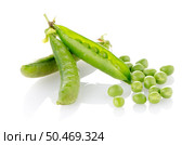 Fresh green pea pod on white background. Стоковое фото, агентство Ingram Publishing / Фотобанк Лори
