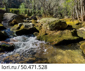 Water stream near Fecha de Barjas waterfall (also known as Tahiti waterfall) in the mountains of Peneda-Geres National Park, Portugal. Стоковое фото, агентство Ingram Publishing / Фотобанк Лори