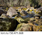 Water stream near Fecha de Barjas waterfall (also known as Tahiti waterfall) in the mountains of Peneda-Geres National Park, Portugal. Стоковое фото, агентство Ingram Publishing / Фотобанк Лори