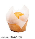 Closeup of a Magdalena Typical Spanish Plain Muffin. Sweet Food or Dessert. Fresh Baked Muffin Isolated on White Background in American Style. Irresistible Tasty Cake. Стоковое фото, агентство Ingram Publishing / Фотобанк Лори