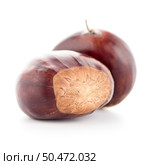 Chestnuts with shell isolated on white background. Стоковое фото, агентство Ingram Publishing / Фотобанк Лори