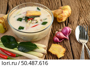 Tom Kha Kai in a bowl with kaffir lime leaves, lemongrass, red onion, galangal and chilli. Стоковое фото, агентство Ingram Publishing / Фотобанк Лори
