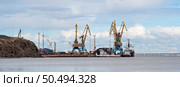 Панорама регионального морского порта на Крайнем Севере России в Арктике. Вид на портовые краны и грузовые суда около причалов. Анадырский морской порт, город Анадырь, Чукотский автономный округ, Россия. Стоковое фото, фотограф Андрей Степанов / Фотобанк Лори
