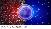 Male Infertility and reproduction concept as healthy or abnormal microscopic sperm or spermatozoa cells swimming towards an egg cell to fertilize and create a pregnancy as a urology symbol as a 3D render. Стоковое фото, агентство Ingram Publishing / Фотобанк Лори