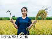 Young Asian female farmer harvest of the ripe rice with a sickle in rice field, she smile with feels proud of the success of growing rice on paddy the rice field. Стоковое фото, агентство Ingram Publishing / Фотобанк Лори