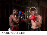 Two foreign boxers are practicing Muay Thai. to prepare for the real fight on stage,  Muay Thai, Thai martial arts that foreigners are interested. Стоковое фото, агентство Ingram Publishing / Фотобанк Лори